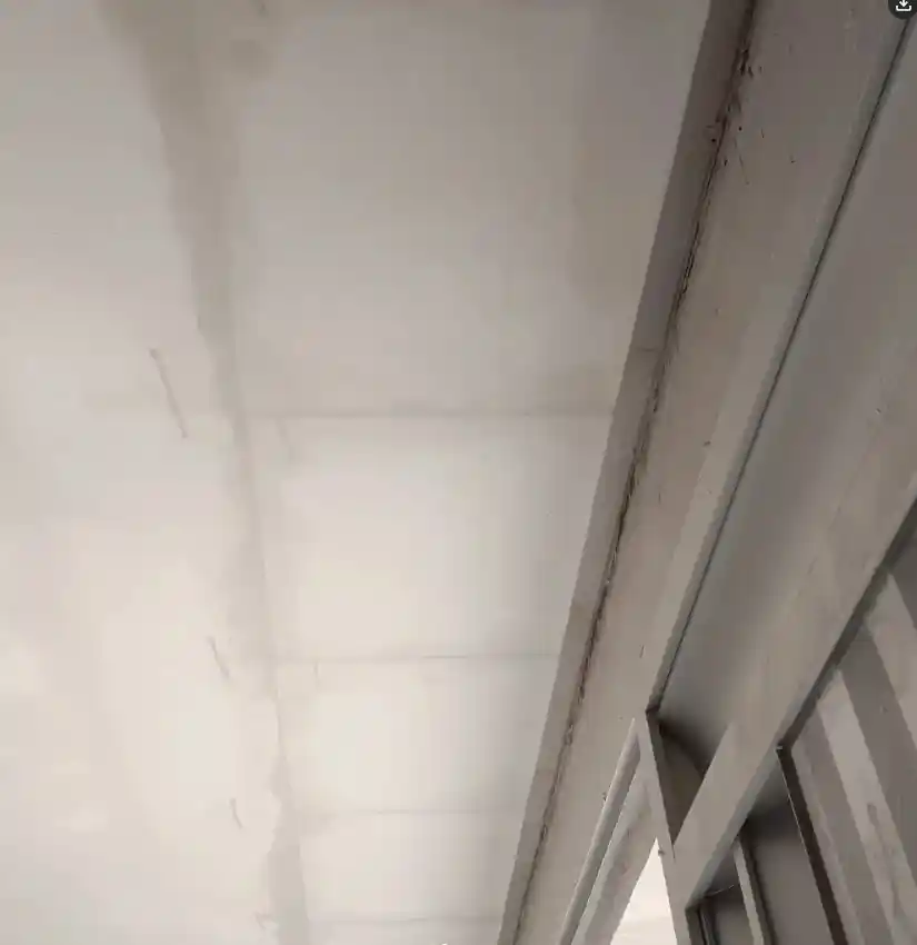 Trabalho realizado