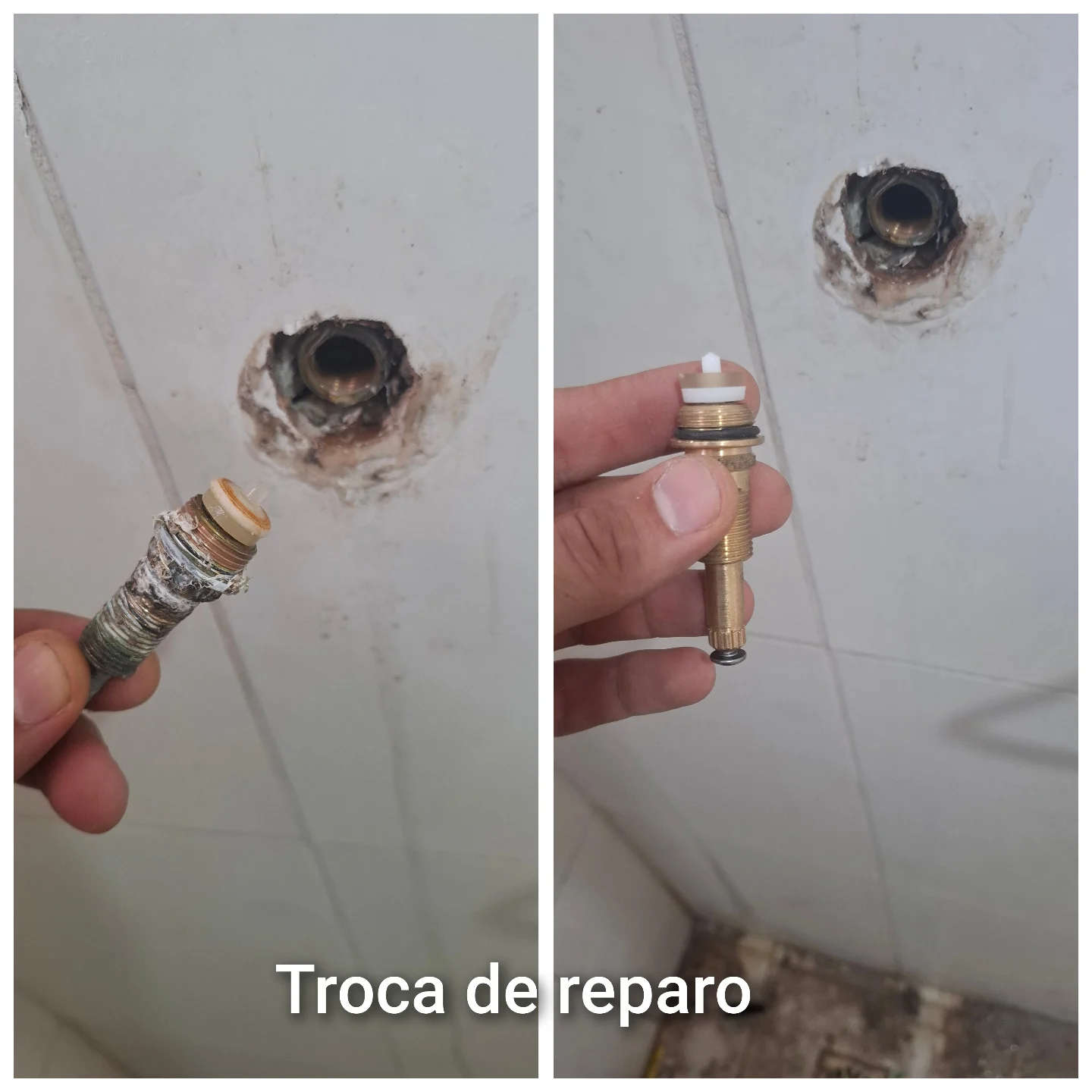 Trabalho realizado