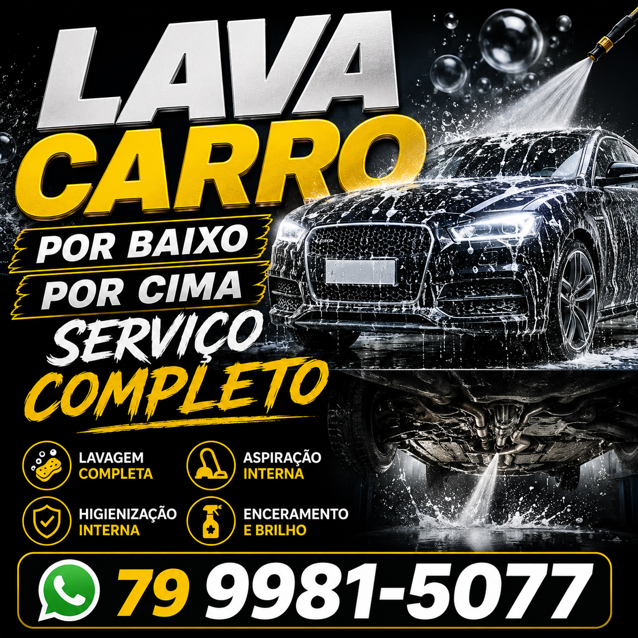 Lava Carro completo